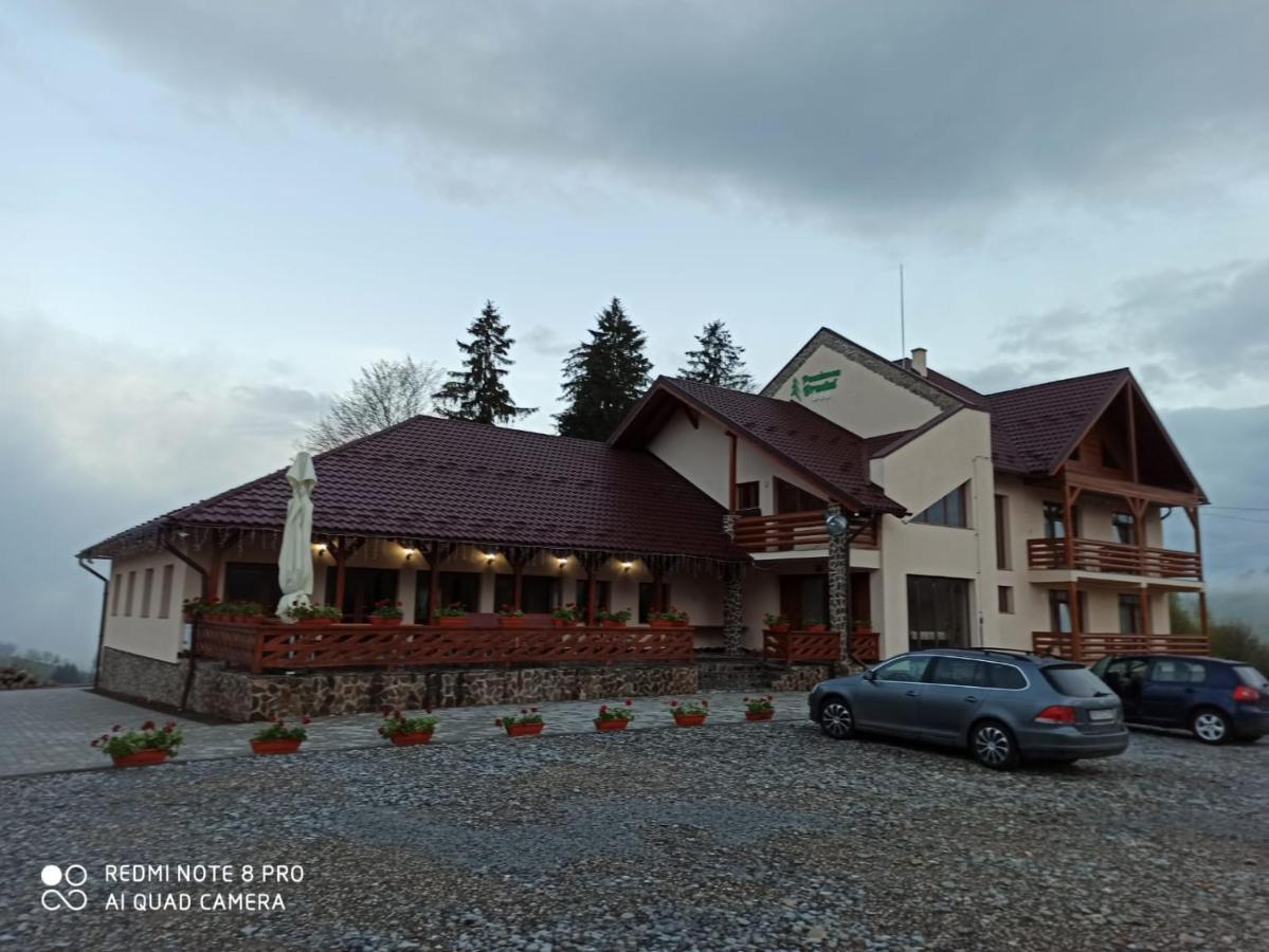 Pensiunea Bradul Dealu Stefanitei Esterno foto